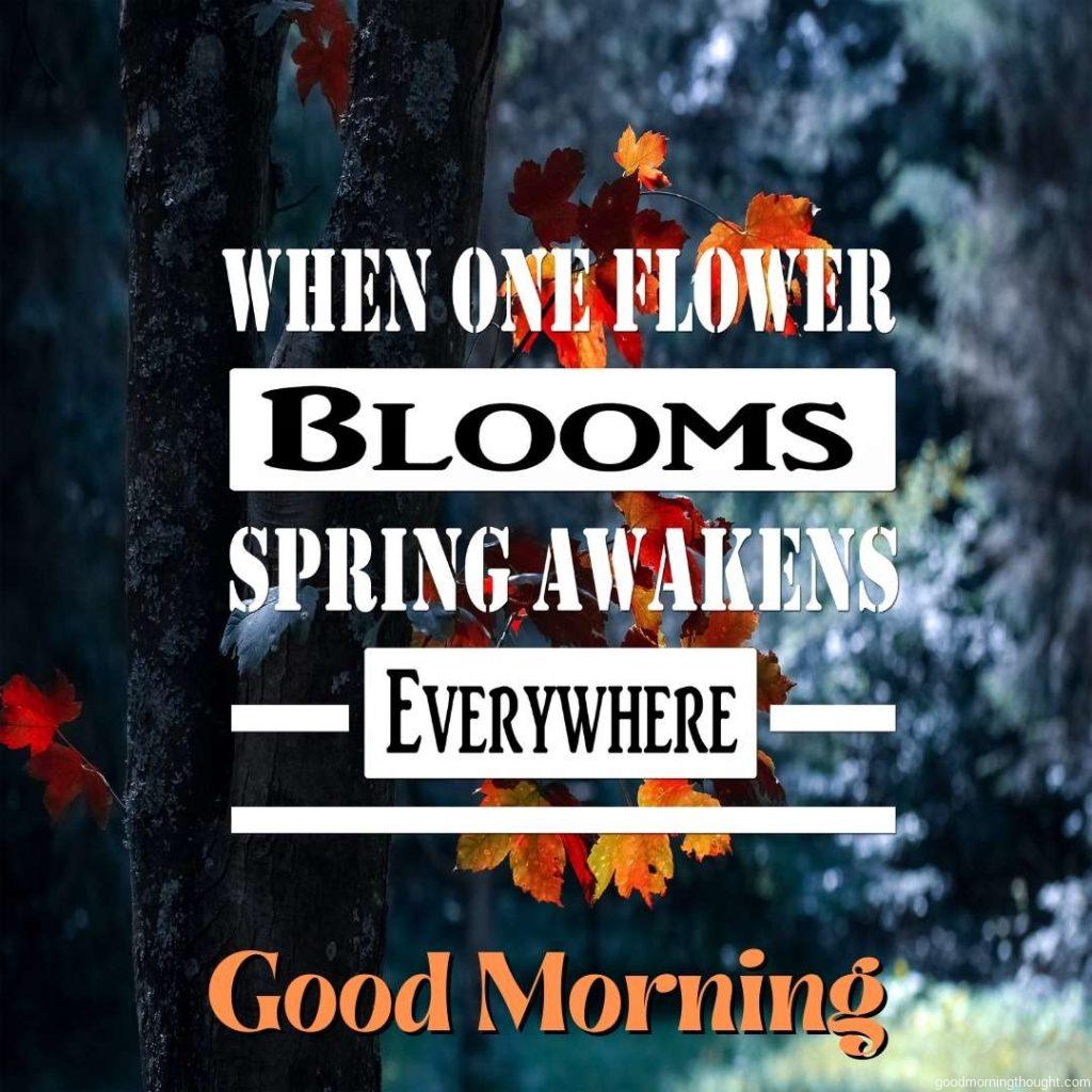 Inspirational Quotes When one flower blooms, spring awakens everywhere with positivity, motivation, and inspiration with Good morning text