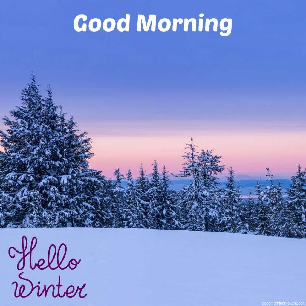 Snow, Blizzard, Christmas Tree, Snowflake, Winter, _Good morning_ text