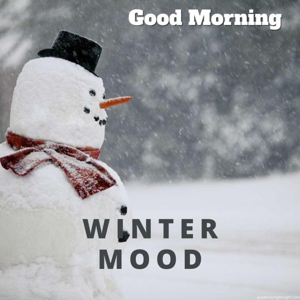 Snowman in winter, Good morning winter images