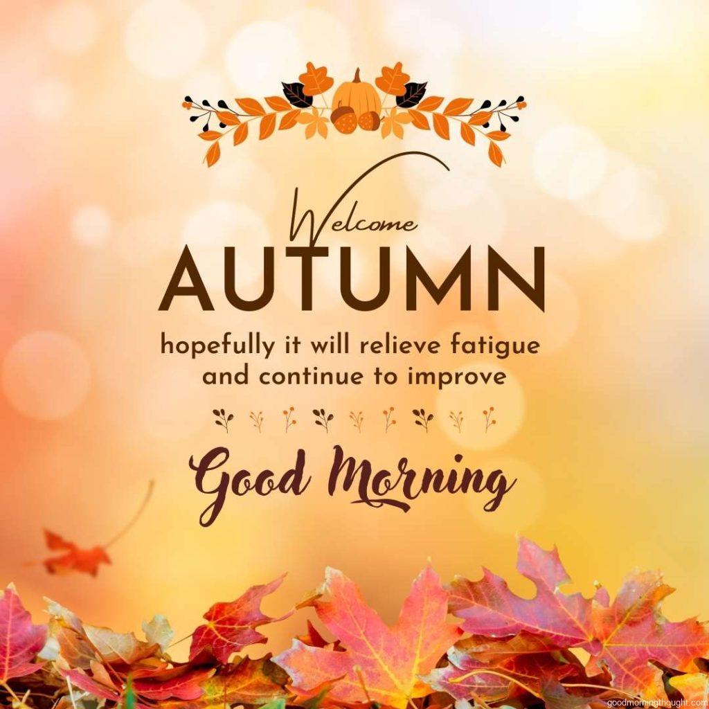 Sunny autumn day with multicoloured leaves and good morning text