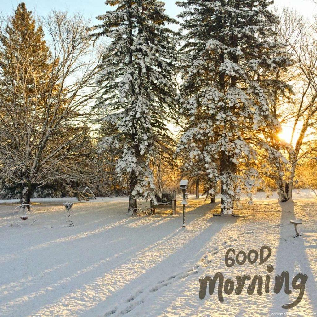 Sunrise in a yard after the first winter snowfall _Good morning_ text