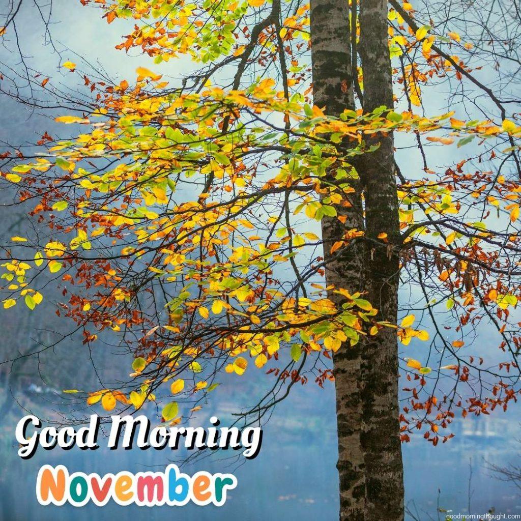 Trees in autumn colours near the Lake of Yedigoller, Turkey, good morning text