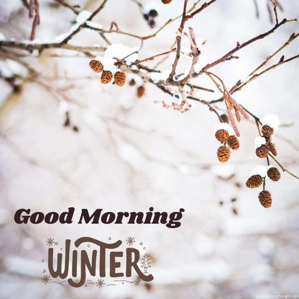 Winter birch branch under the snow over a defocused background, _Good morning_ text