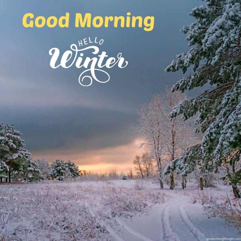 Winter holiday. The trees are covered with snow. Clean, frosty air and winter fun create a sense of celebration. _Good morning_ text