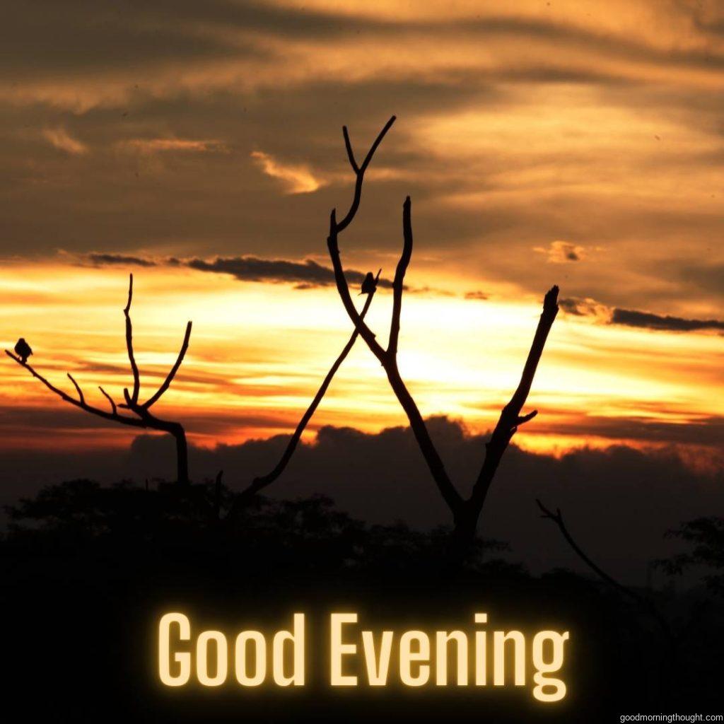 a colourful sun set with birds with the _good evening_ text