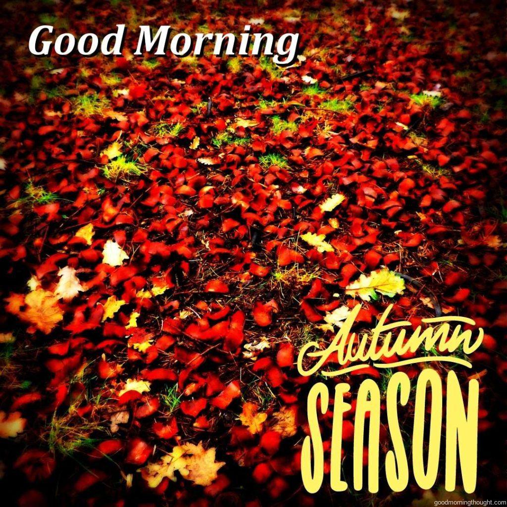 autumn, hello autumn Sticker, Good morning text