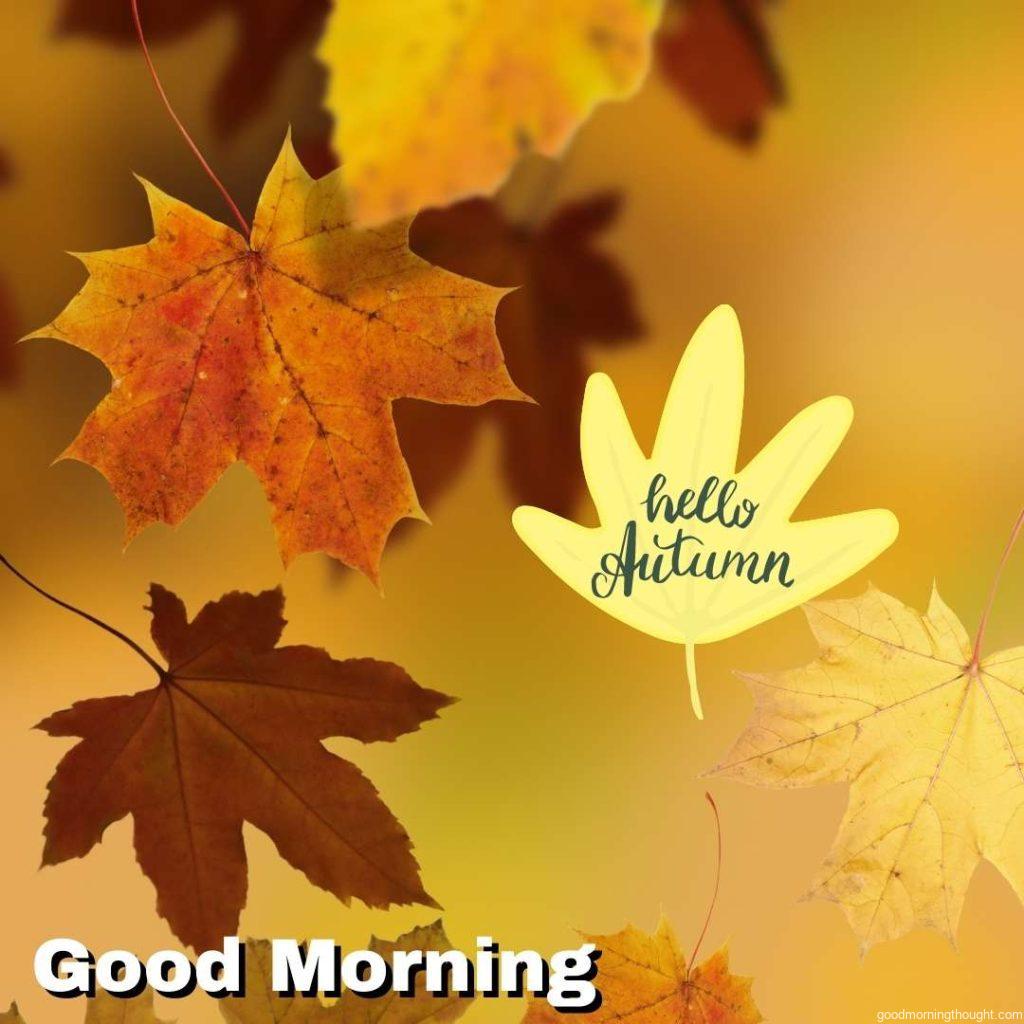 'autumnal background with maple tree, season design, selective focus' with _Good Morning_ text written on it