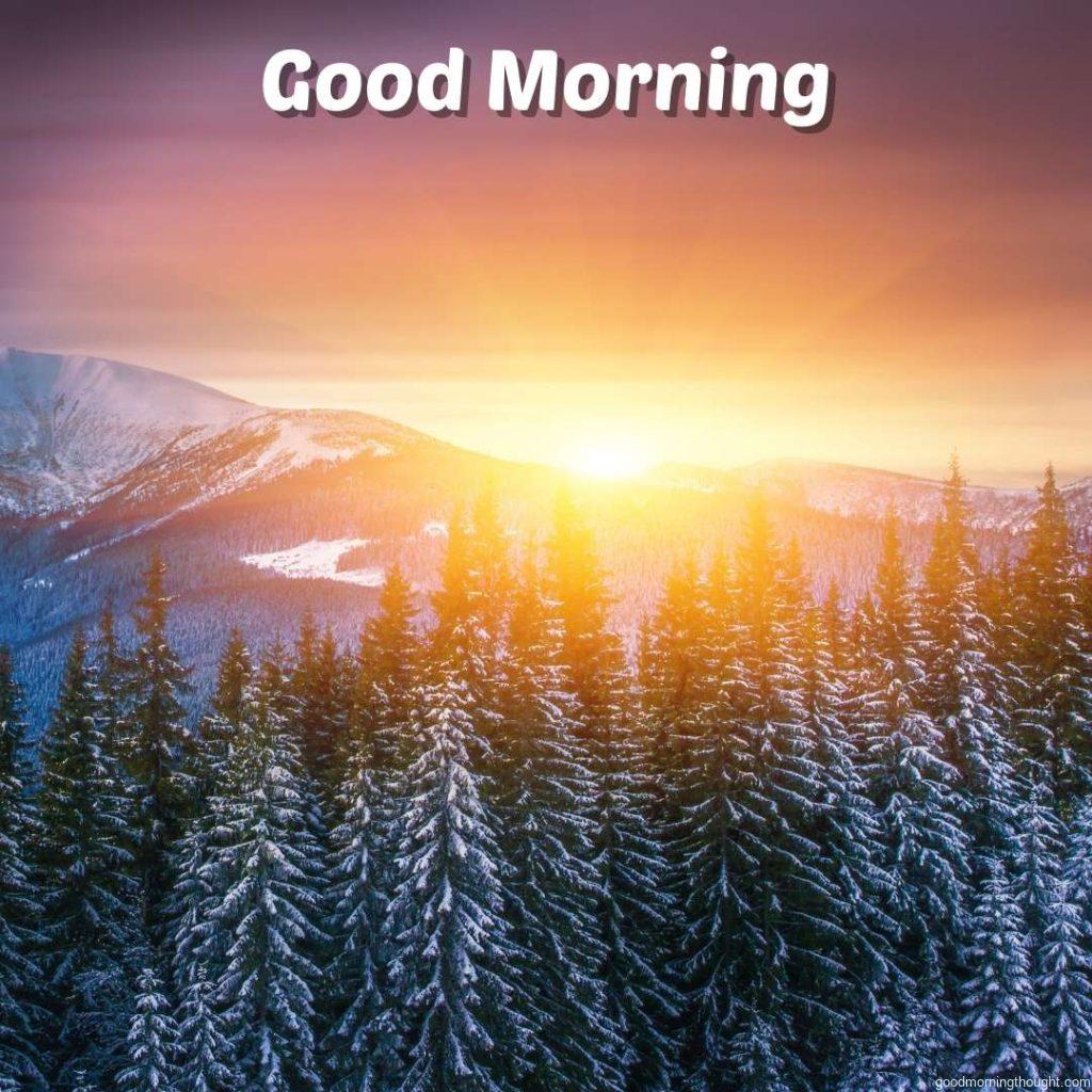 beautiful winter landscape in Europe, _Good morning_ text