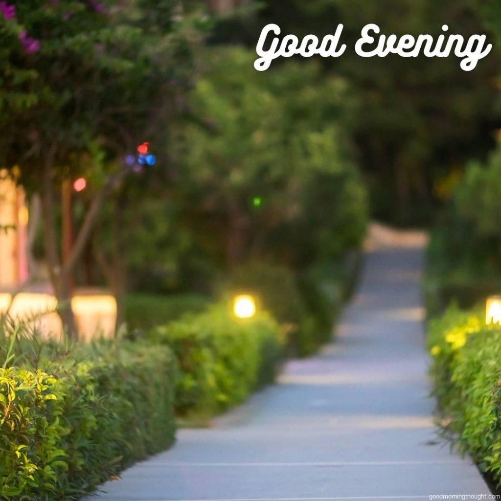 blurred background. the lights in the Park in the evening with _Good Evening_ text