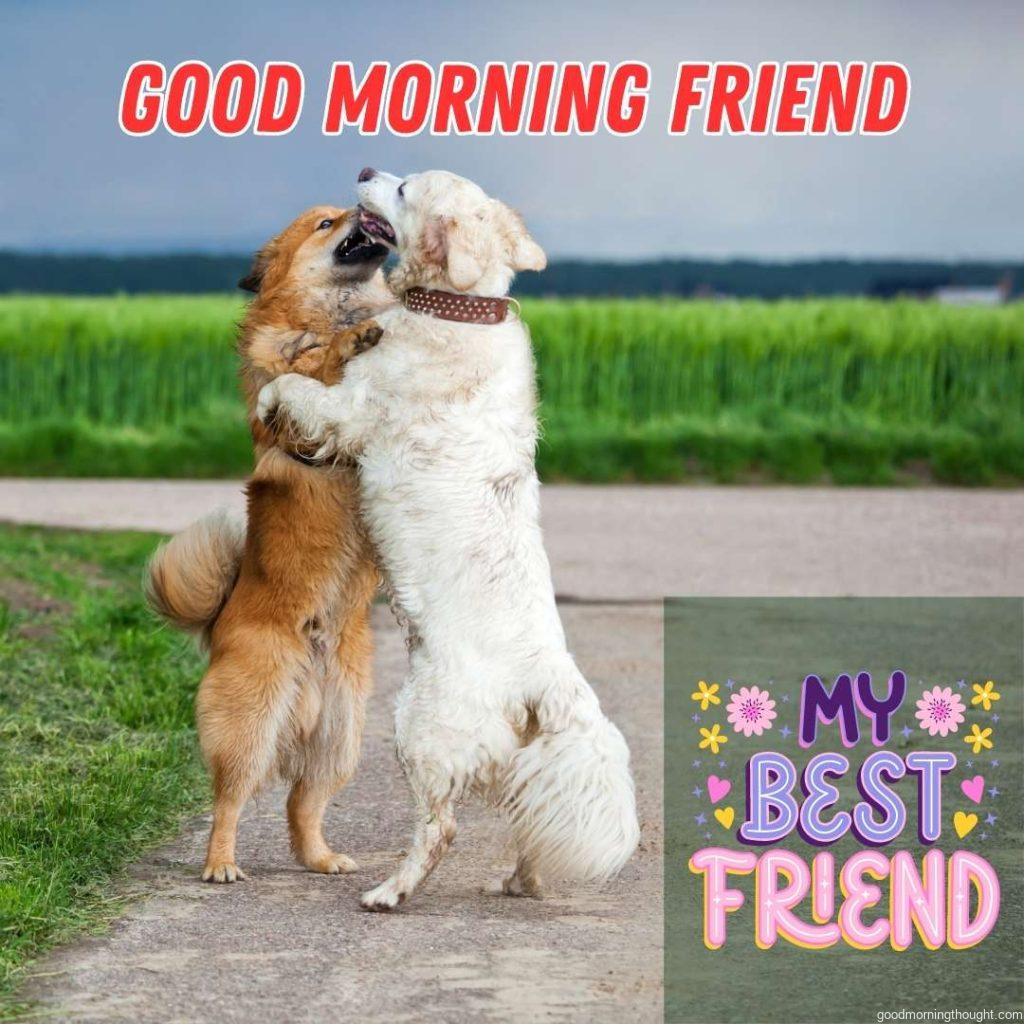 dog friendship, Good morning images for friends