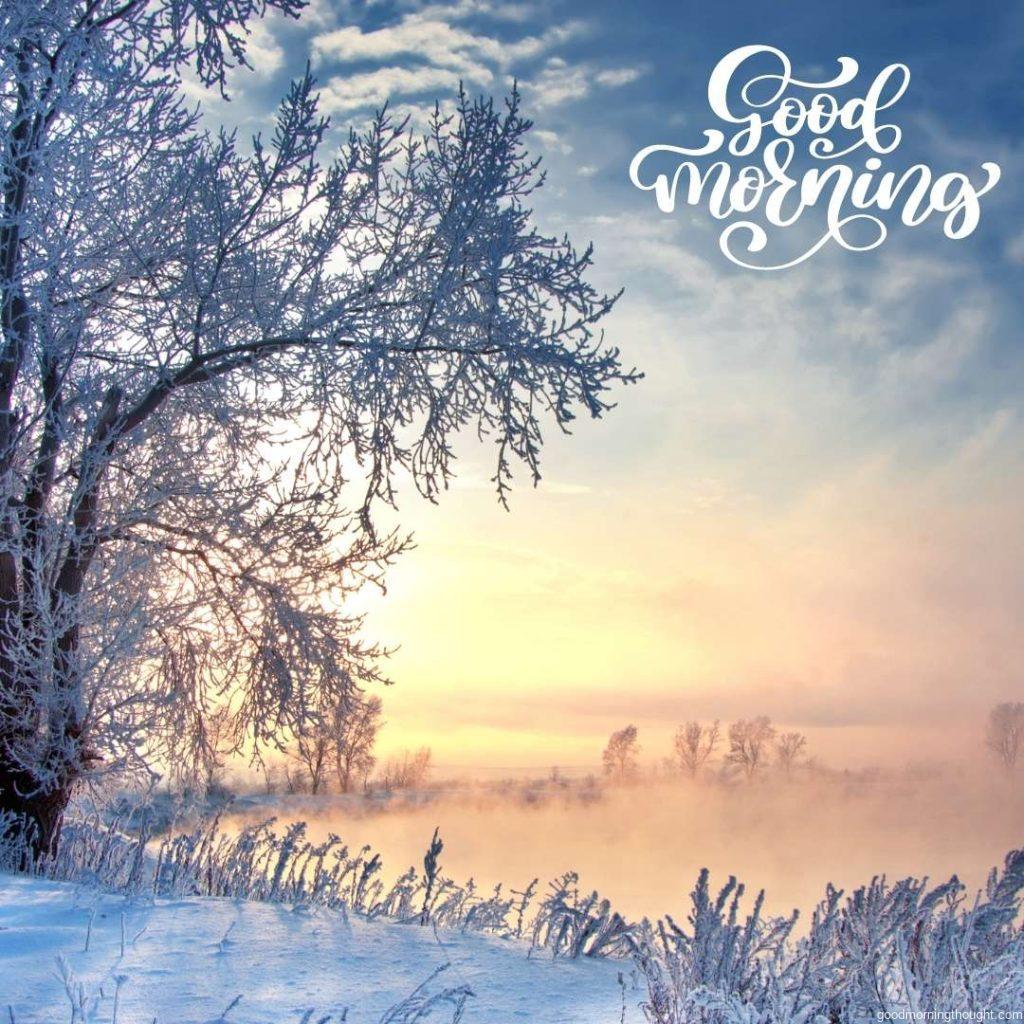 winter, winter tide, winter time, hibernate, the coldest season of the year, _Good morning_ text