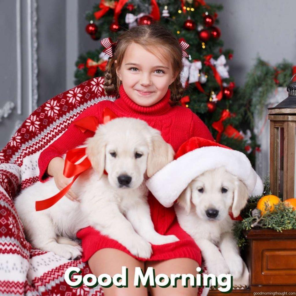 A happy girl with two white puppies near the Christmas tree Happy Good Morning Images