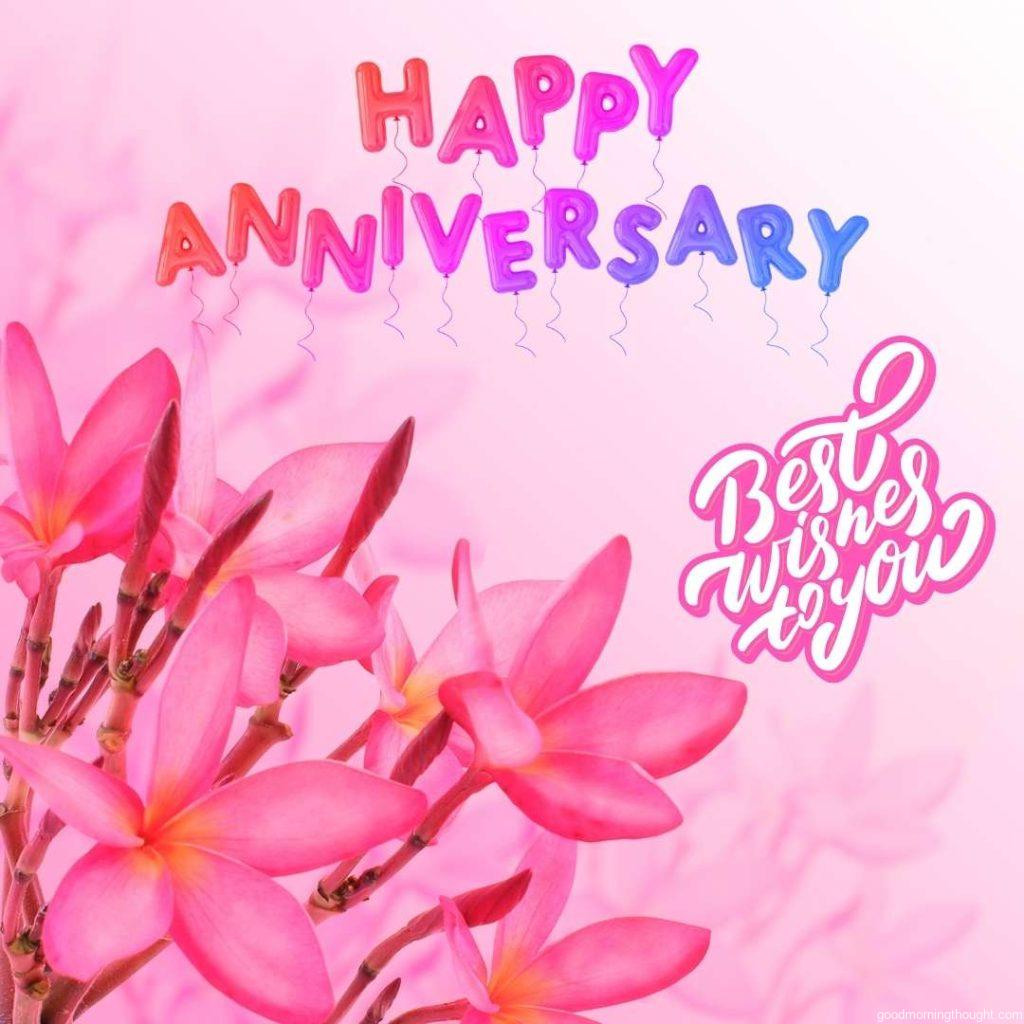 Flower background. Pink plumeria flower, Happy Wedding Anniversary Images