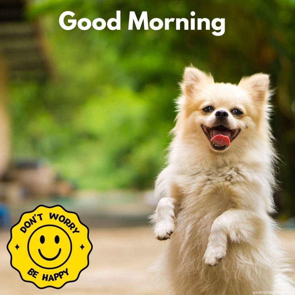 Happy Dog. _Good Morning_ text. Happy Good Morning Images