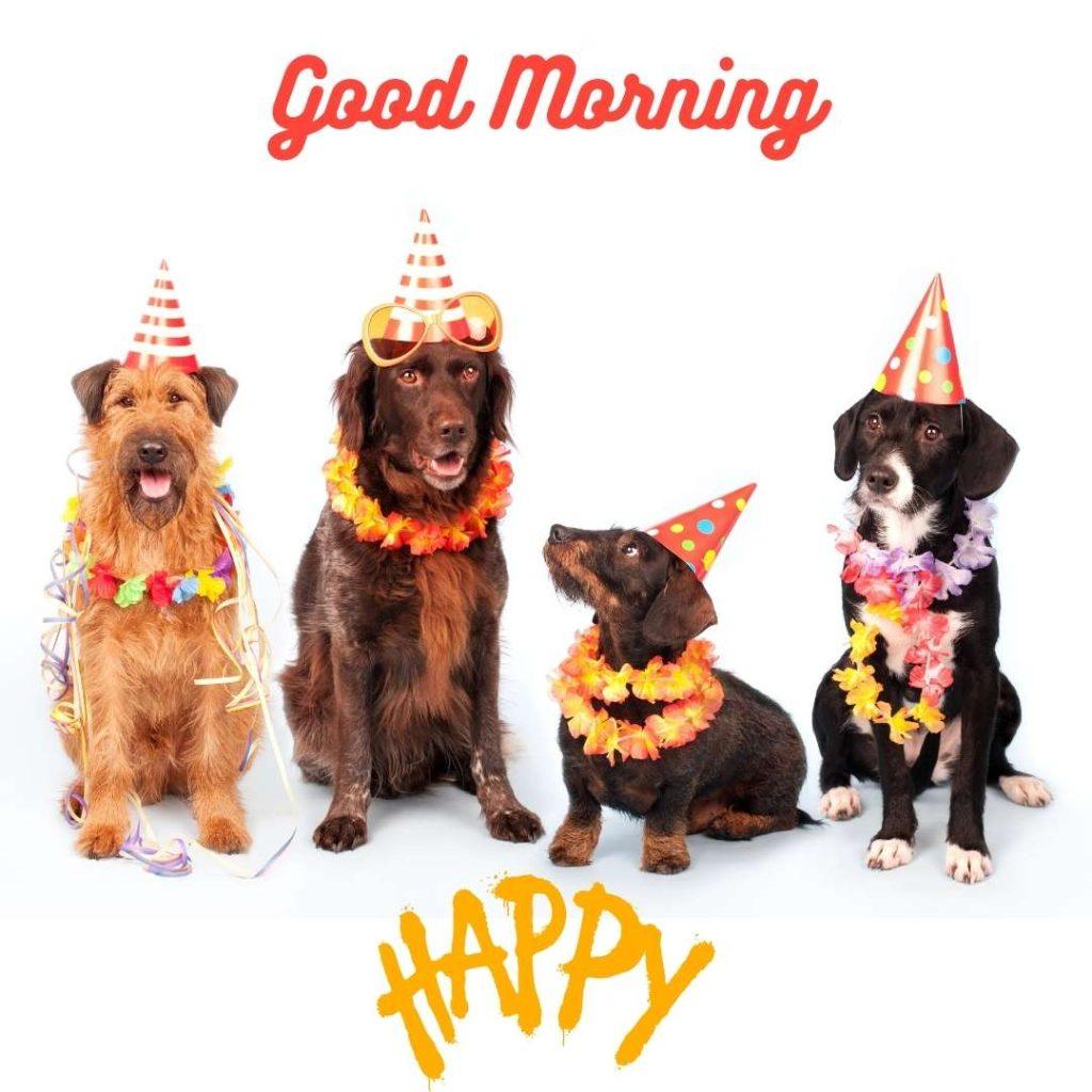 Happy Party Dogs! Four party dogs Word Good Morning