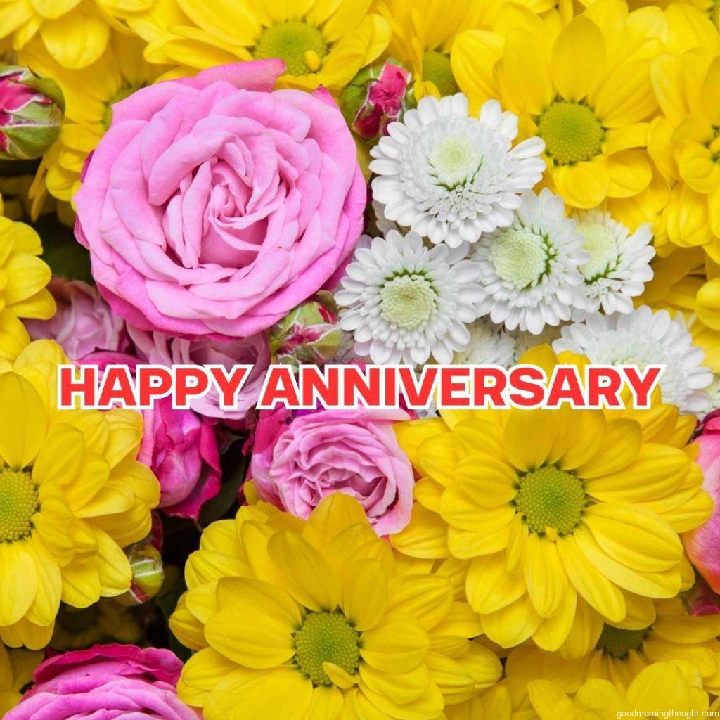 Pink roses, white, and yellow chrysanthemums as backgrounds, Happy Wedding Anniversary Images